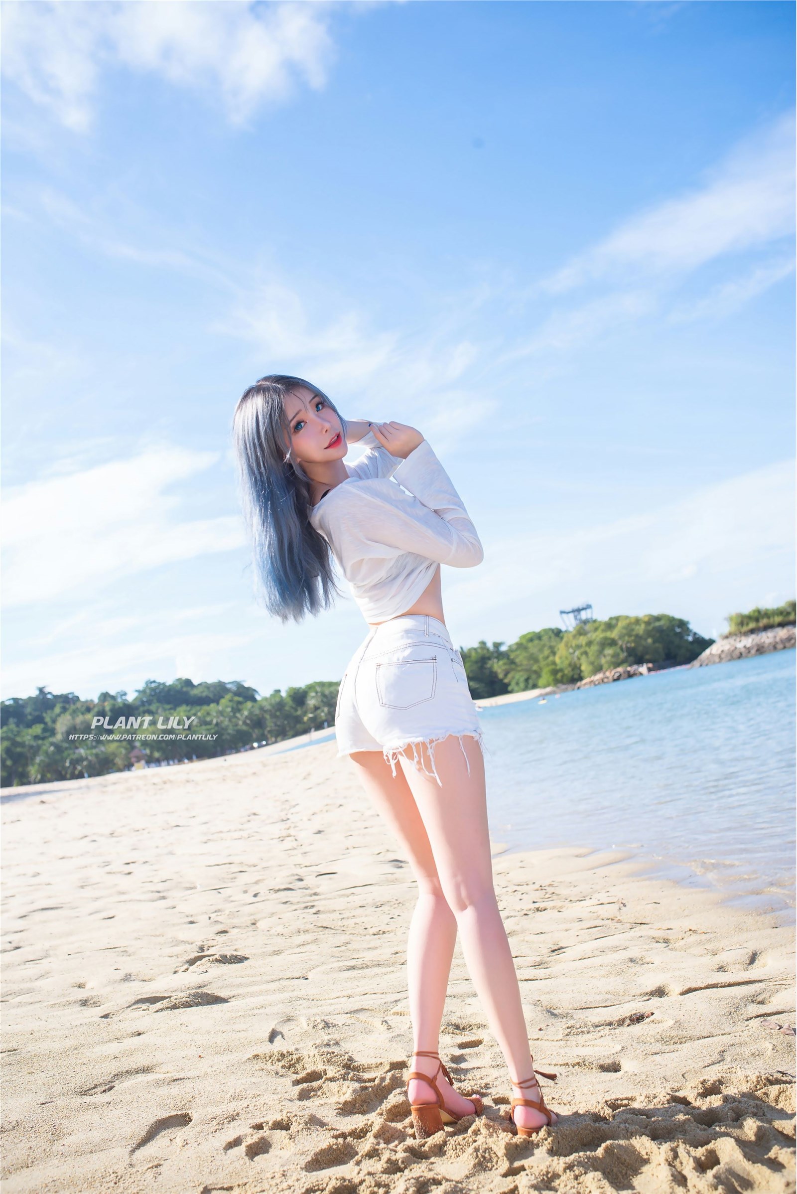 cos花莉莉(Plant Lily) - NO.06 Beach Lily(2)